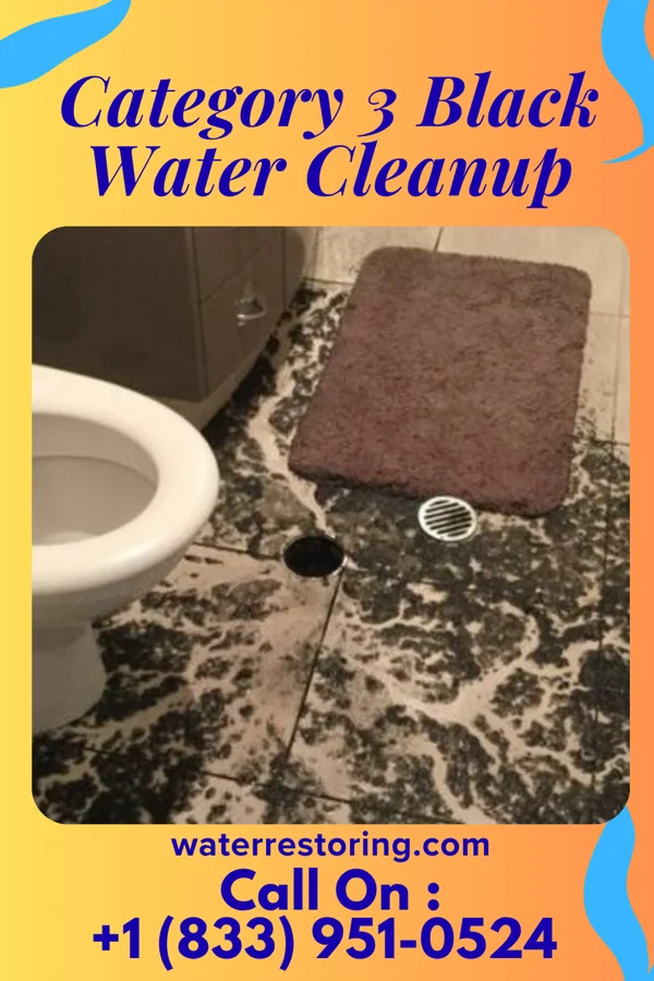 Category 3 Black Water Cleanup in Diablock, KY