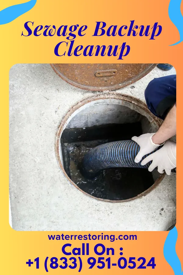 Sewage Backup Cleanup in Diablock, KY