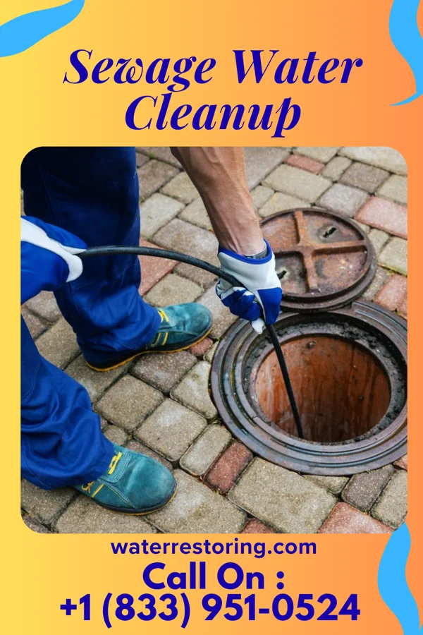 Sewage Water Cleanup in Diablock, KY